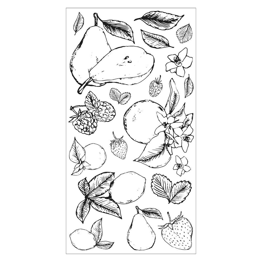 View 4 of Botanical Fruit Clear Stamps Set  by Lisa Jones - Sizzix