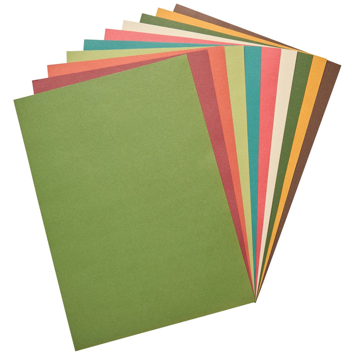 Spiced Revealz A6 Sandable Cardstock - Surfacez - Sizzix