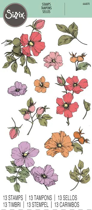 Wildflower Botanicals Clear Stamps Set (13 pack) - Sizzix