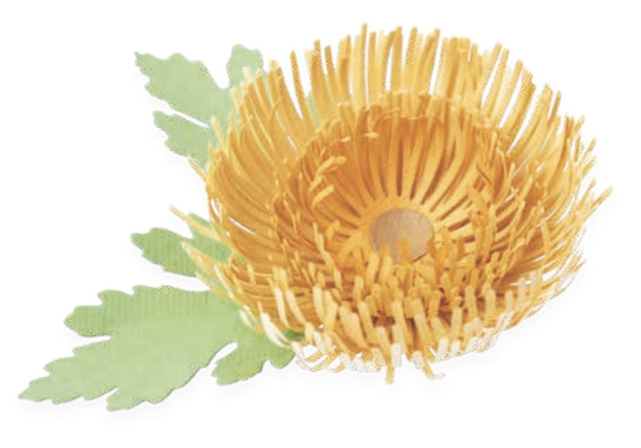 Chrysanthemum Thinlits Dies-Kath Breen-Sizzix